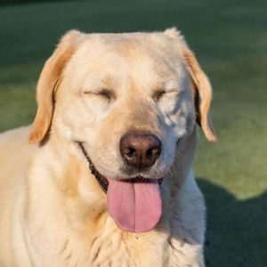 Meet your Posher, Alana